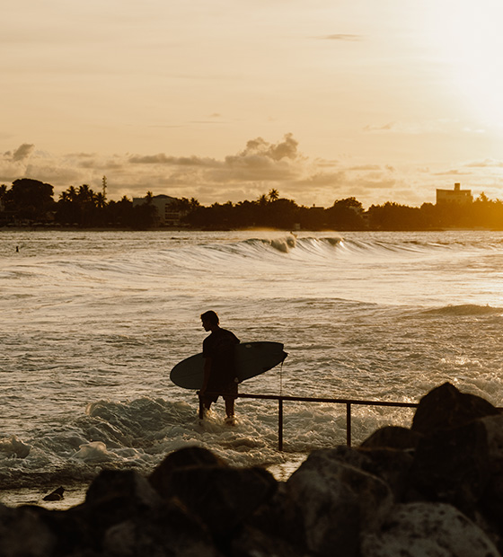 Surf Lesson
