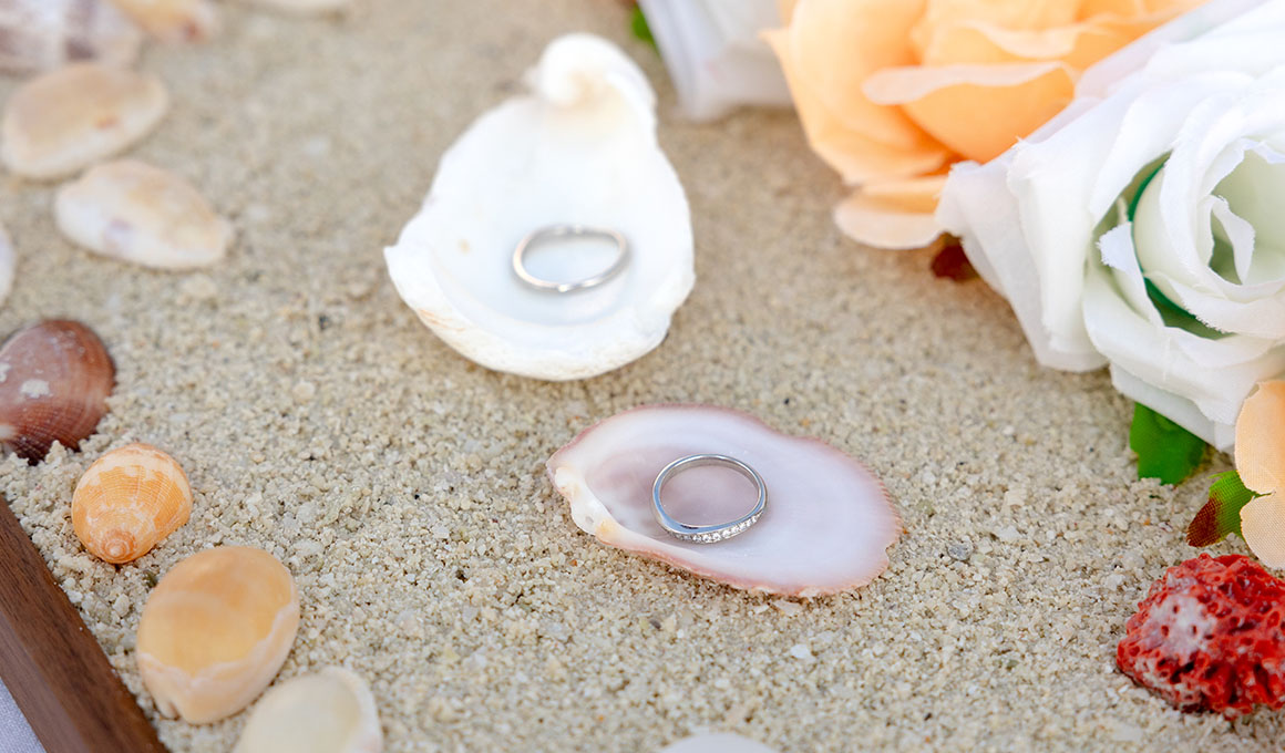 Wedding rings on sea shells on Kuda Villingili beach