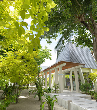 Shopping Village